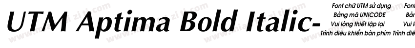 UTM Aptima Bold Italic字体转换
